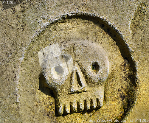 Image of skull