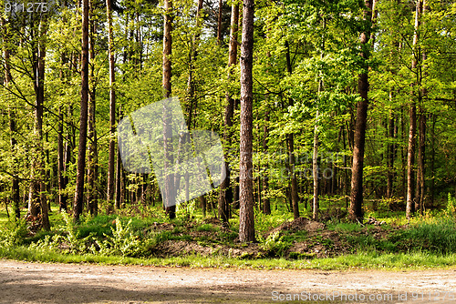 Image of country road