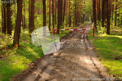 Image of country road