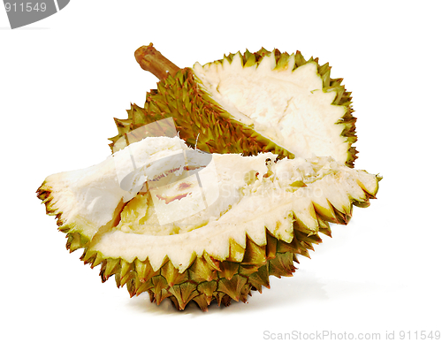 Image of Durian. Giant Tropical Fruit.