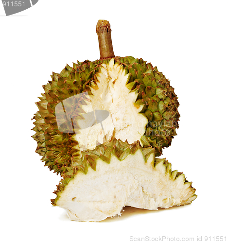 Image of Durian. Giant Tropical Fruit.