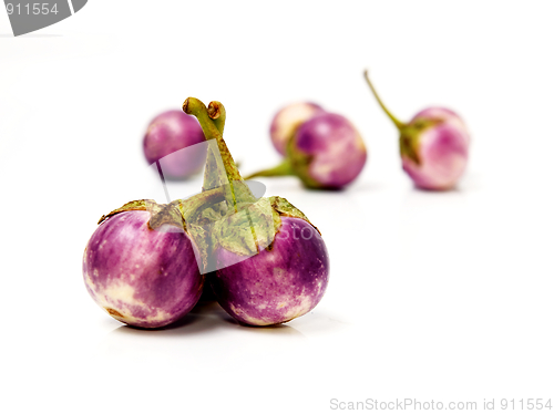 Image of Group of small Egg-plants. Aubergine.