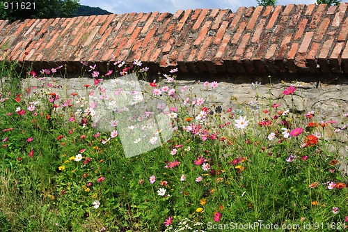 Image of The wall surrounding the old fortress of Sighisoara