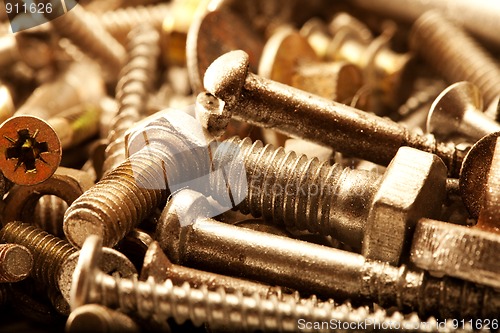 Image of Warm color metal screws close up