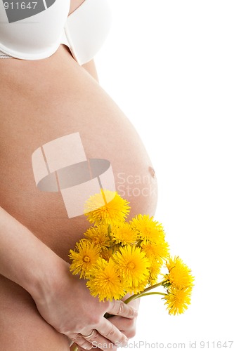 Image of Pregnant woman with dandelions