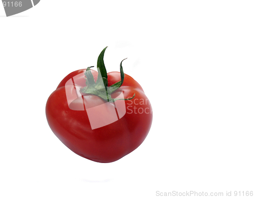 Image of Tomato