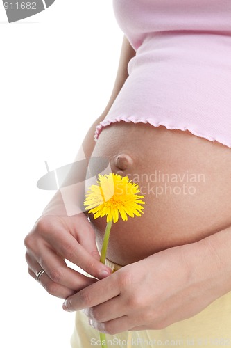 Image of Pregnant woman with dandelion