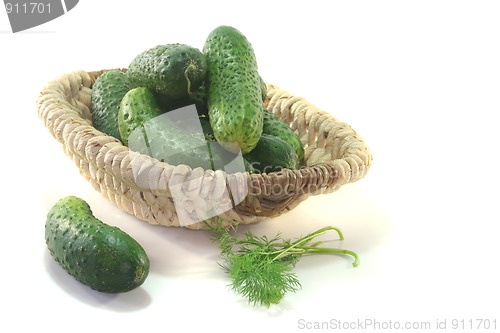 Image of Pickling cucumbers