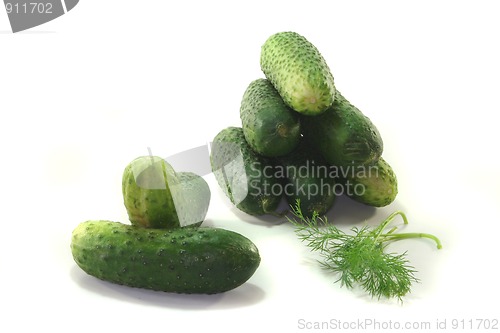Image of Pickling cucumbers