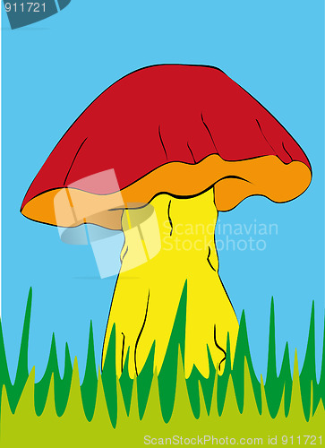 Image of mushrooms