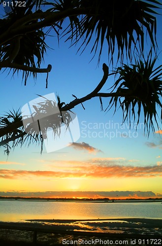 Image of Sunrise Against Pandanus