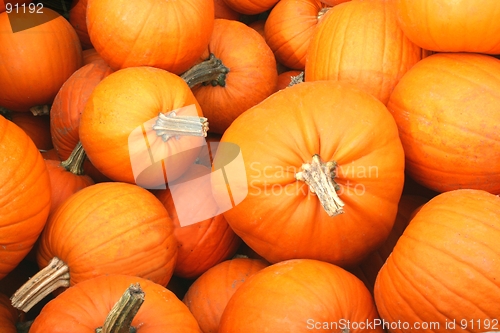 Image of Pumpkins