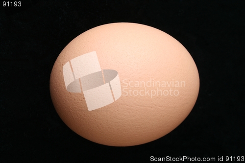 Image of Egg