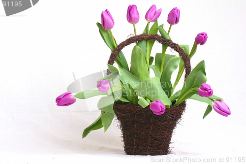 Image of Purple tulips in a basket