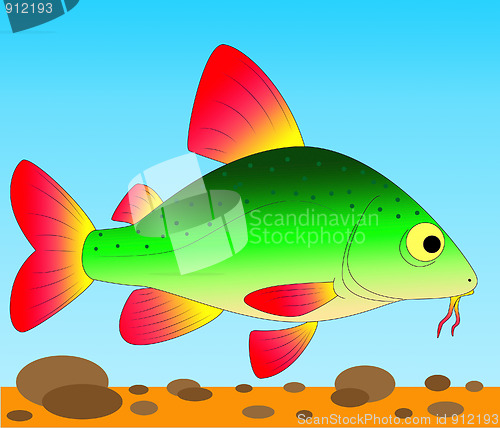 Image of colorful fish