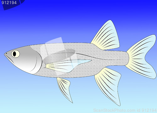 Image of minnow