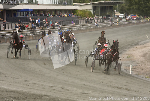 Image of Trotting race