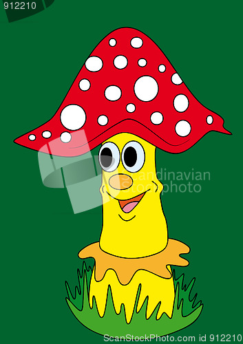 Image of amanita