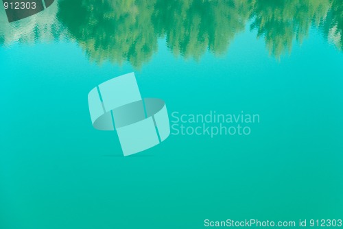 Image of Tree reflections