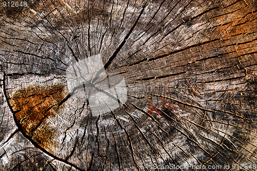 Image of wooden texture