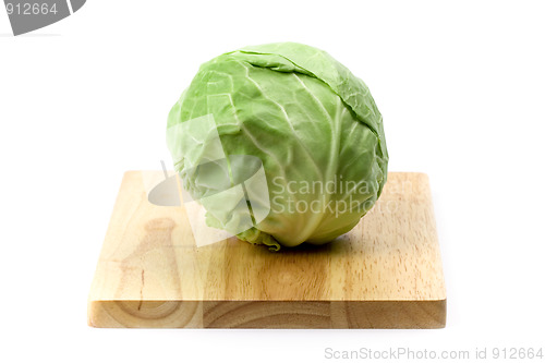 Image of green cabbage