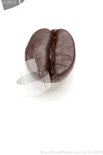 Image of Single Roasted Coffee Bean on White
