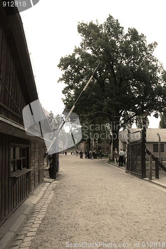 Image of Auschwitz Birkenau camp