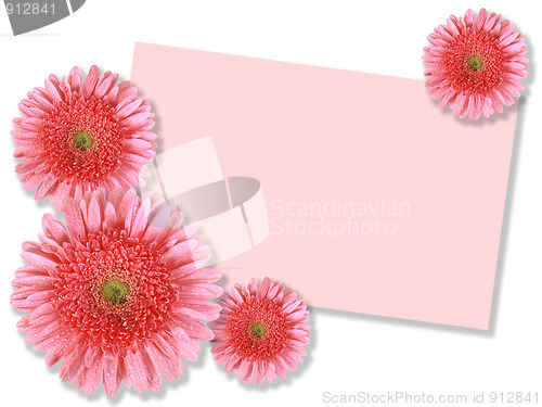 Image of Group of pink flowers with message-card