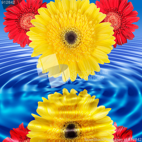 Image of Reflection of flowers in blue water