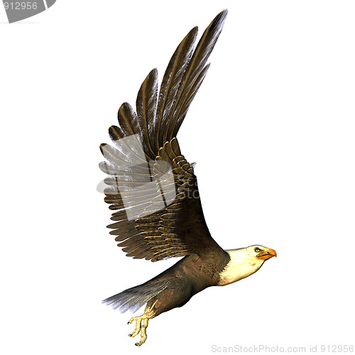 Image of flying eagle