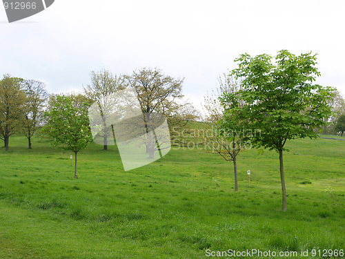 Image of Primrose Hill, London