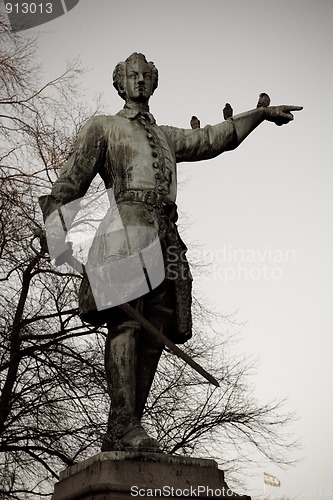 Image of Statue of Charles XII with birds