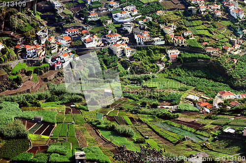 Image of Village on the south coast of Madeira island - Portugal