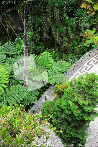 Image of Monte Palace Tropical Garden– Monte, Madeira