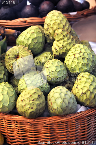 Image of Sugar-apple, Annona squamosa - fruit of Madeira