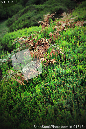 Image of Plateau of Parque natural de Madeira, Madeira island,  Portugal