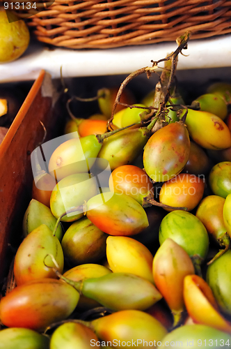 Image of Passiflora, Maracuja, passion fruit - fruit of Madeira