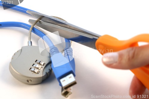 Image of Break online security