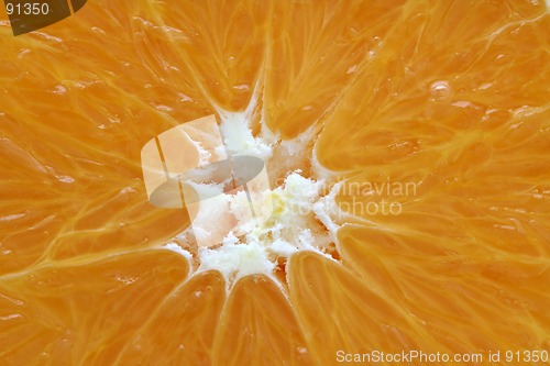 Image of Oranges