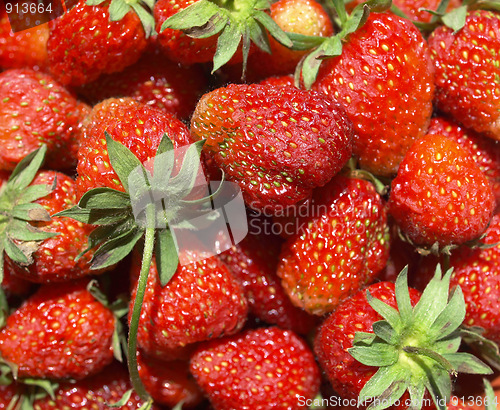 Image of Strawberries