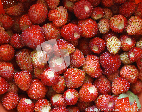 Image of Strawberries