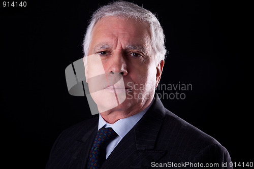 Image of Portrait of a handsome mature businessman