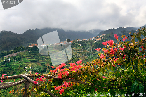 Image of Village on the north coast of Madeira island – Portugal