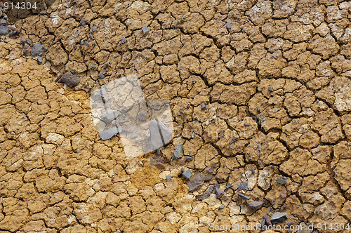 Image of Cracked dry ground texture