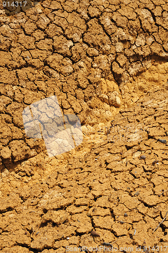 Image of Cracked dry ground texture