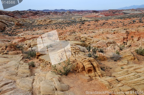 Image of Valley of Fire