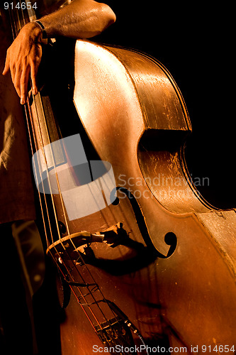 Image of Double bass