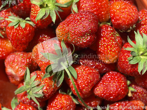 Image of Strawberries