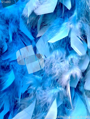 Image of Blue feathers