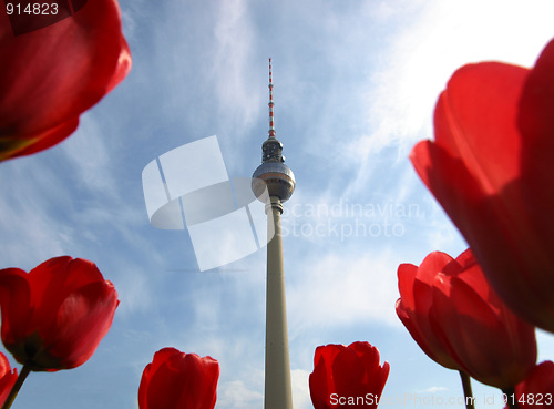 Image of TV Tower, Berlin